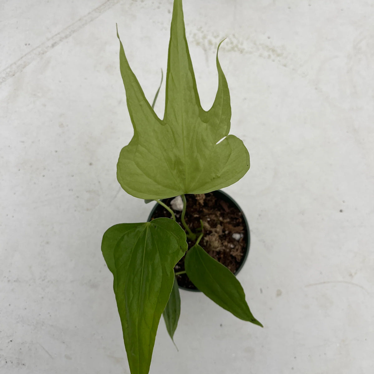 1_d4716ee0-7cd4-4a74-bd83-