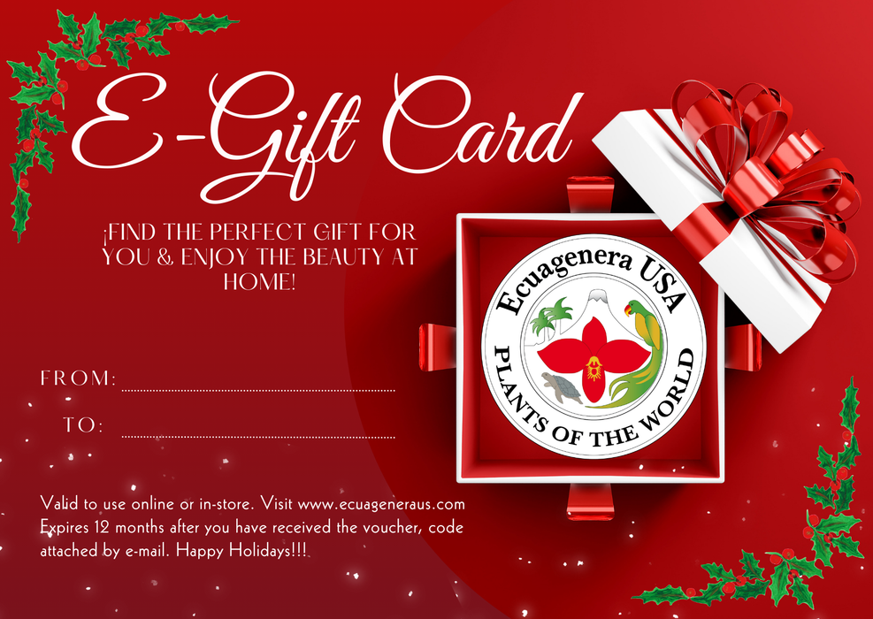 E-Gift Card: Ecuagenera Holidays