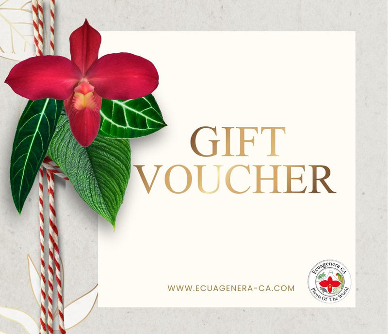 Ecuagenera California Gift Card